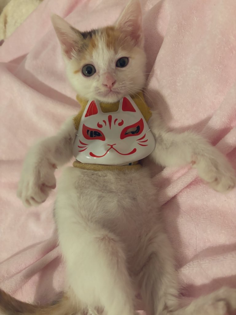 yapomesa's tweet image. 見ると年末ジャンボ10億円が当たる神様
当たったらお礼を言って