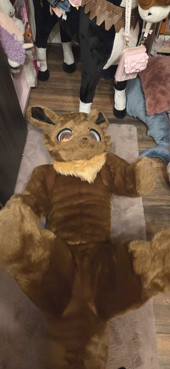 Had a friend over on Halloween and was able to enjoy some time as eevee. Hope everyone had a Happy Halloween. 
(Can i please get out again. 😜) 
#Eevee #bitchsuit #fursuit