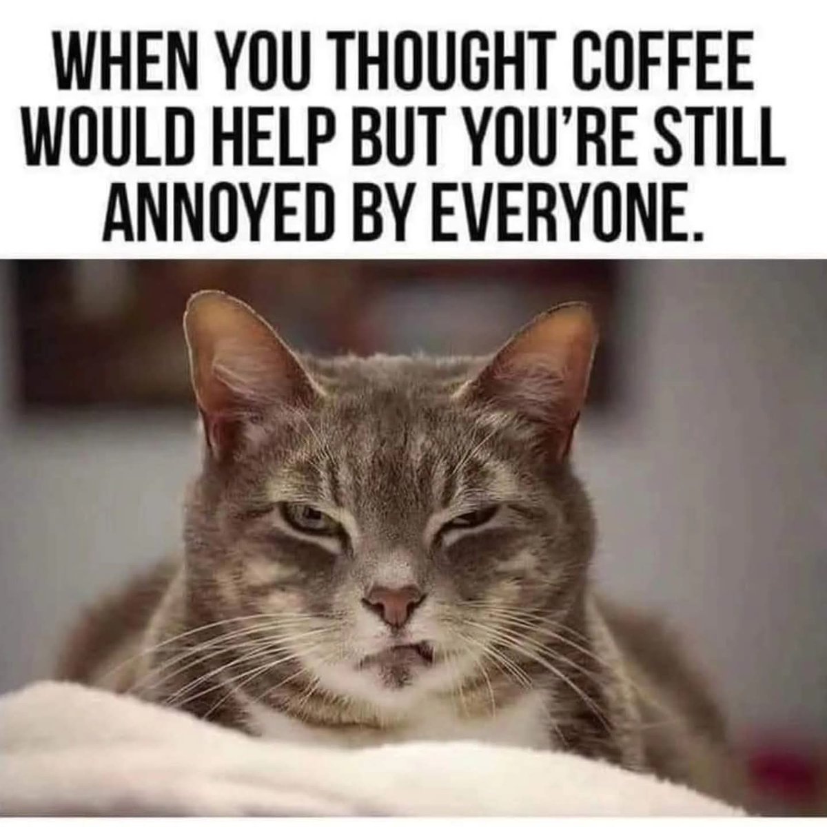 ValueHelp's tweet image. #Coffee