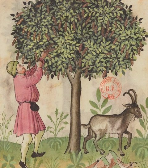 Gallica BnF tweet media