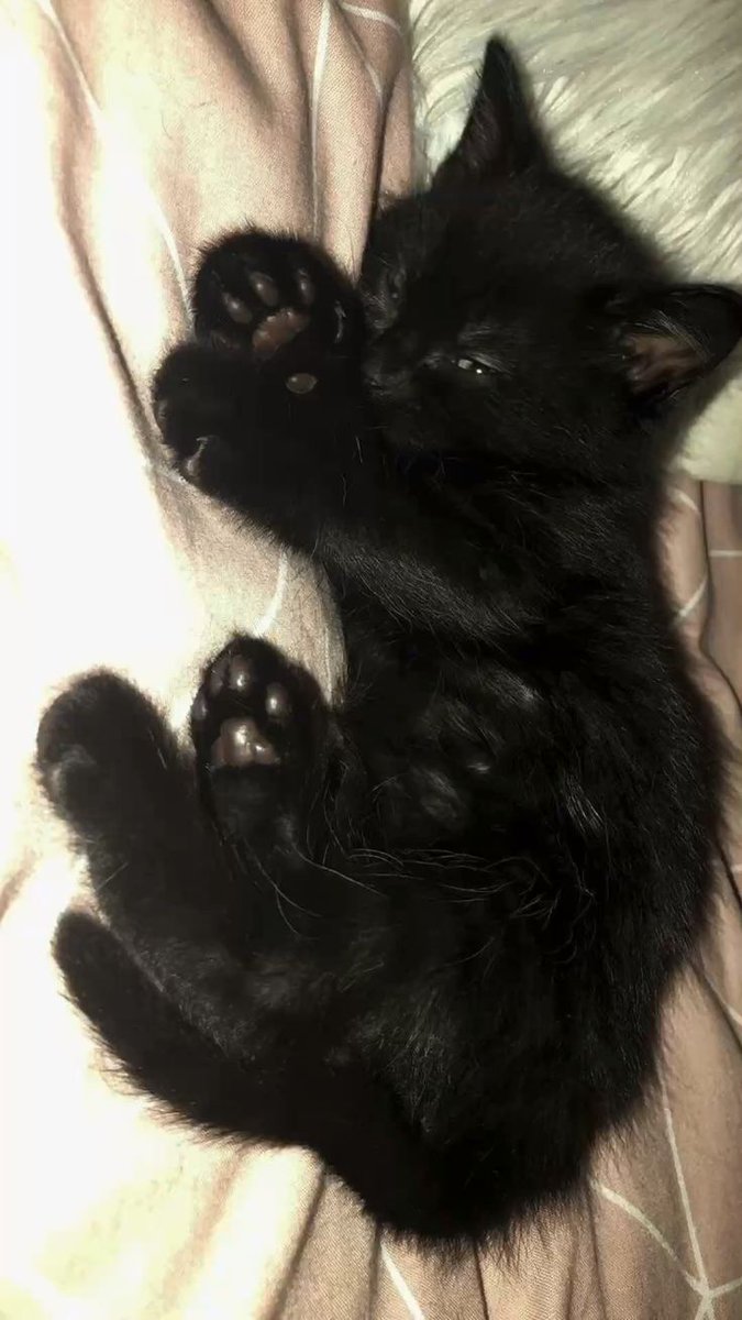 h3xt3ch_dr34m's tweet image. I am #baffled.

Gear has changed colors with time, apparently.