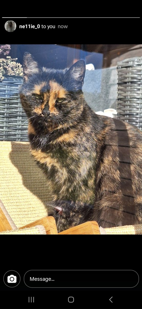 h3xt3ch_dr34m's tweet image. I am #baffled.

Gear has changed colors with time, apparently.