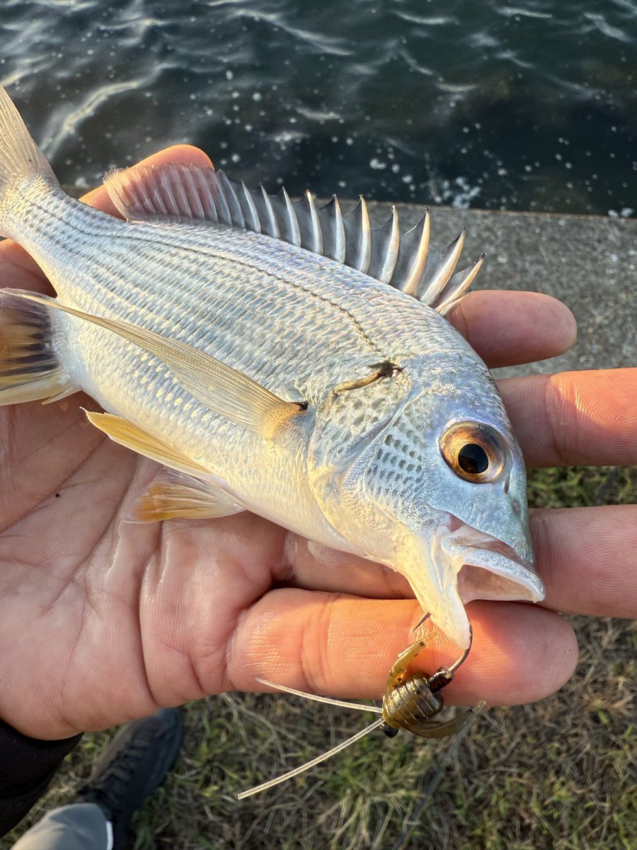 Yuki (@yuki530931) / Posts / X