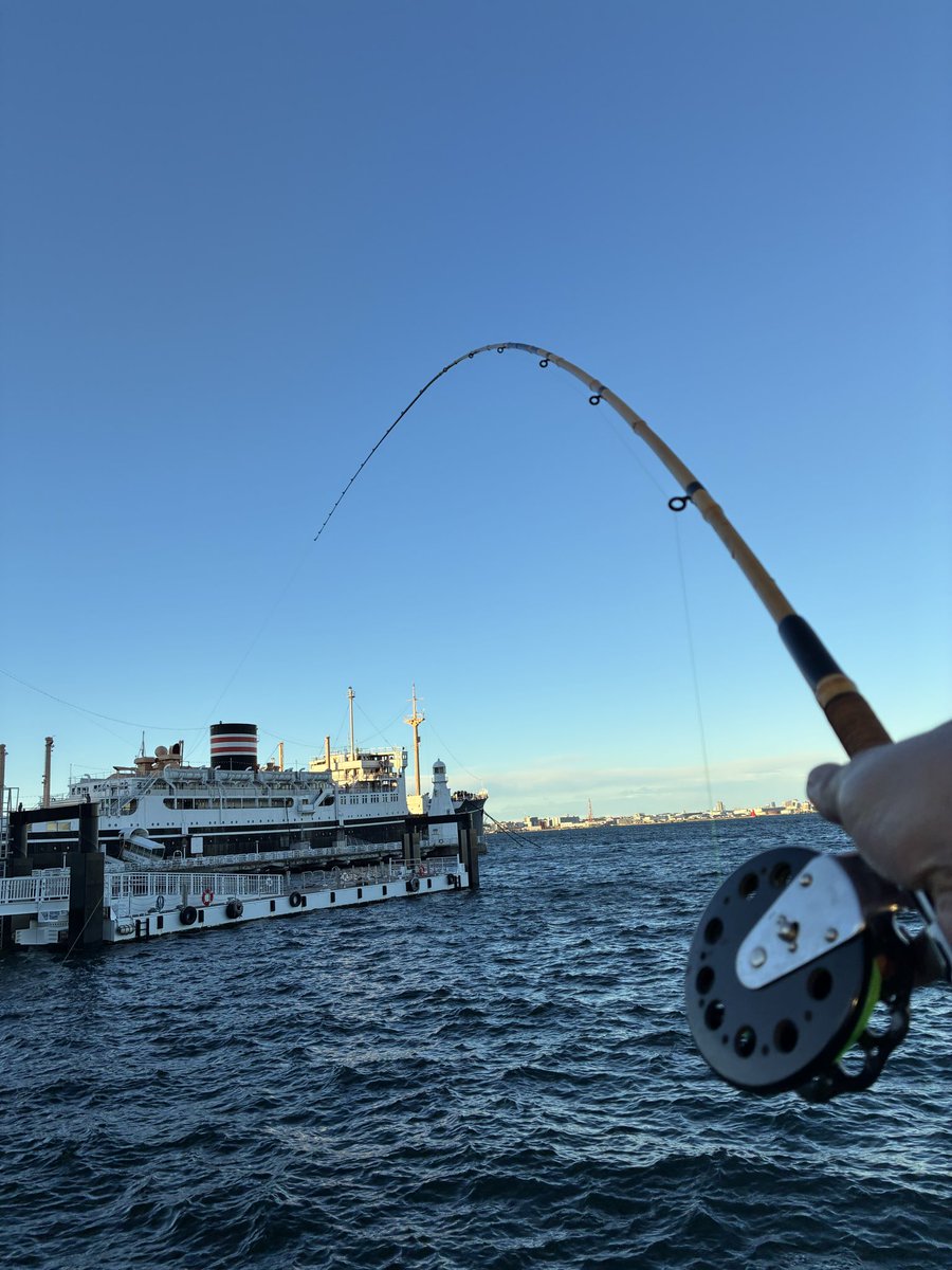 すぎとも tweet media