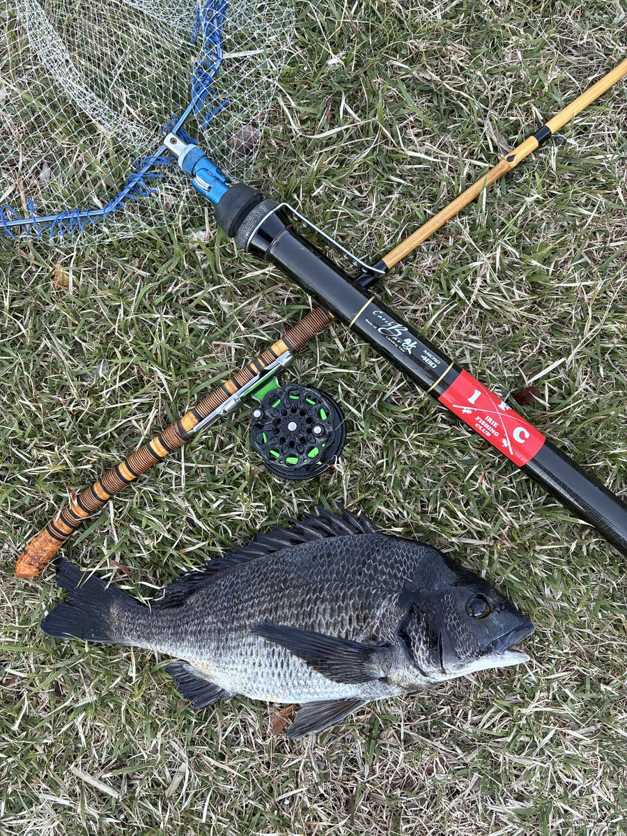 すぎとも tweet media