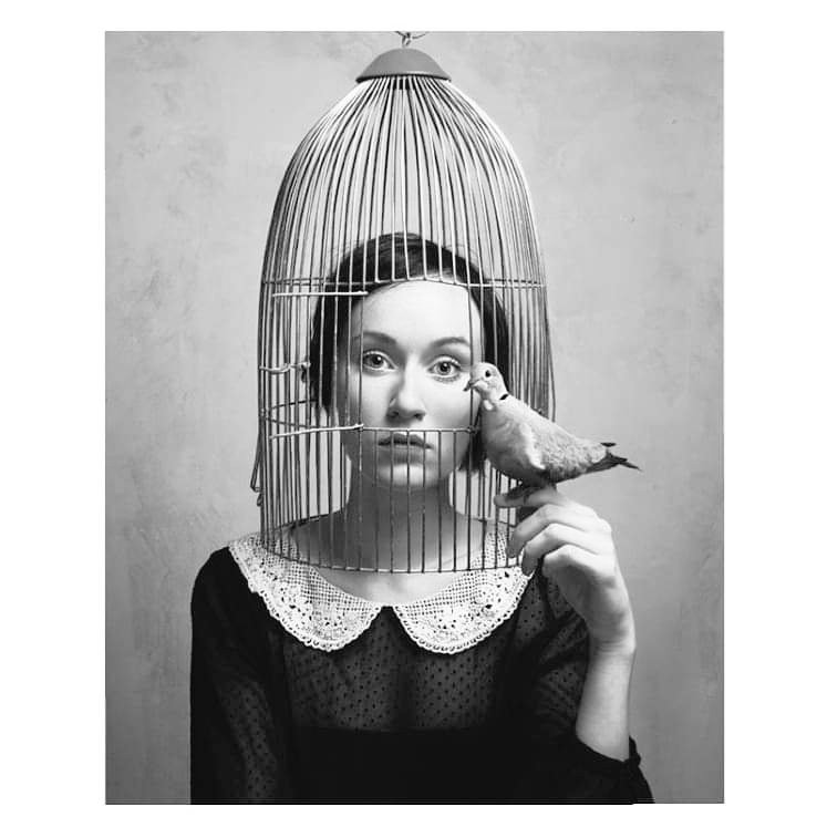 ~.•°•.~°•.L'Ô'.°•.•°~°• tweet media
