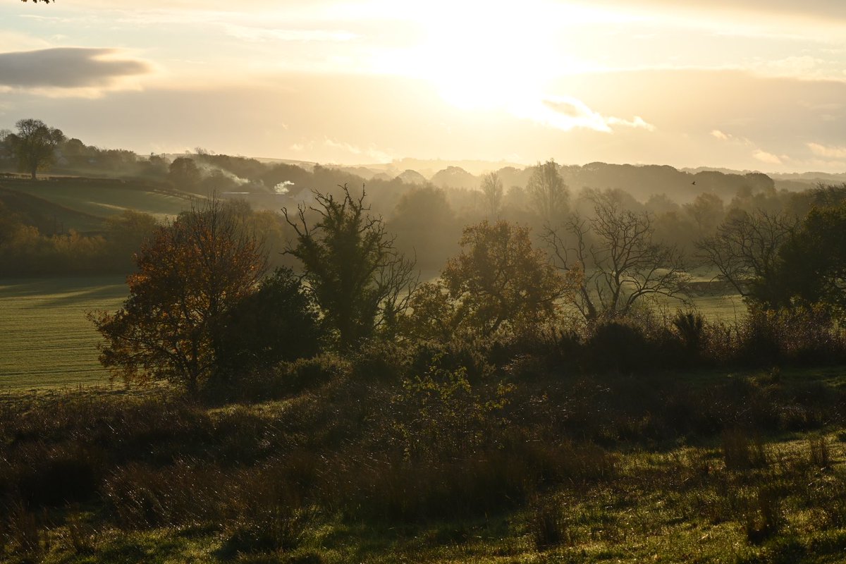 Craig Campbell tweet media