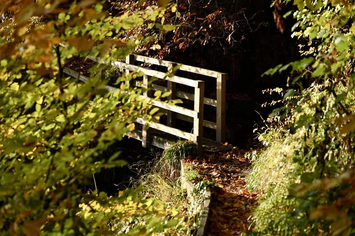 Craig Campbell tweet media