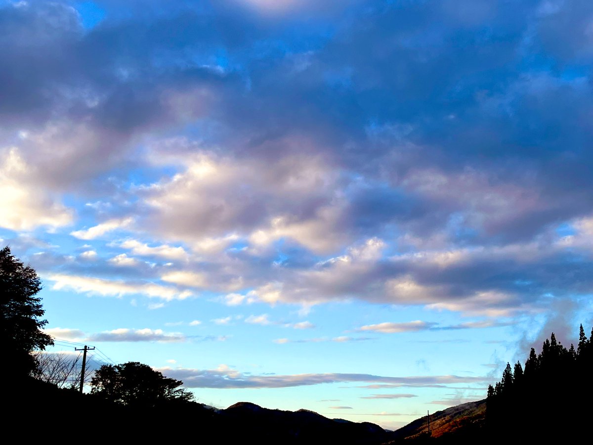 部屋を浄化・パワースポット化♥二コラ・テスラ発明パープルプレート大 部屋を浄化・パワースポット化♥二コラ・テスラ発明パープルプレート大