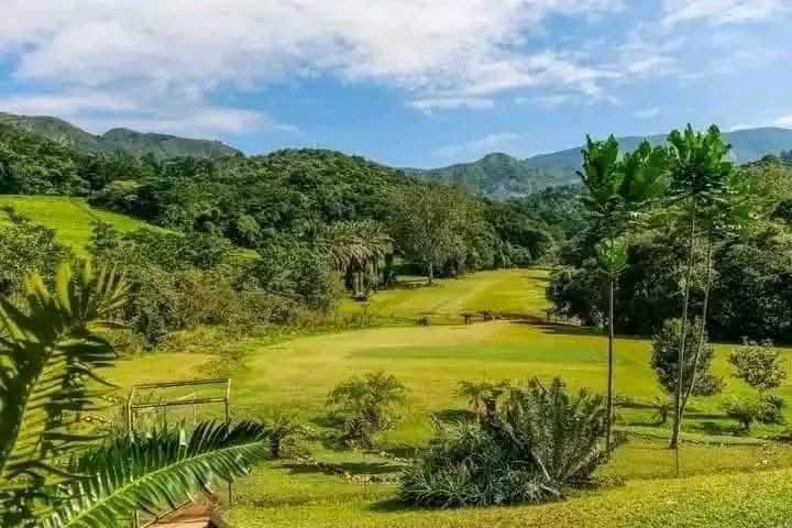 Todazimbabwe's tweet photo. Aberfoyle Lodge is one of the finest gems in Honde Honde Valley Zimbabwe. #VisitZimbabwe #tourzim #discoverzim #todazim https://t.co/6zIKtKiogJ