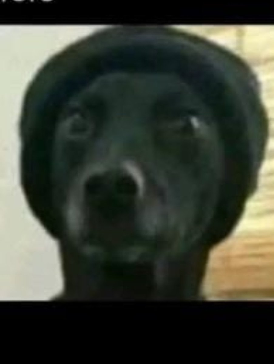 When I visit my relative's house &amp; someone loses their money &amp; they start" This has never happened before "😁😂😂