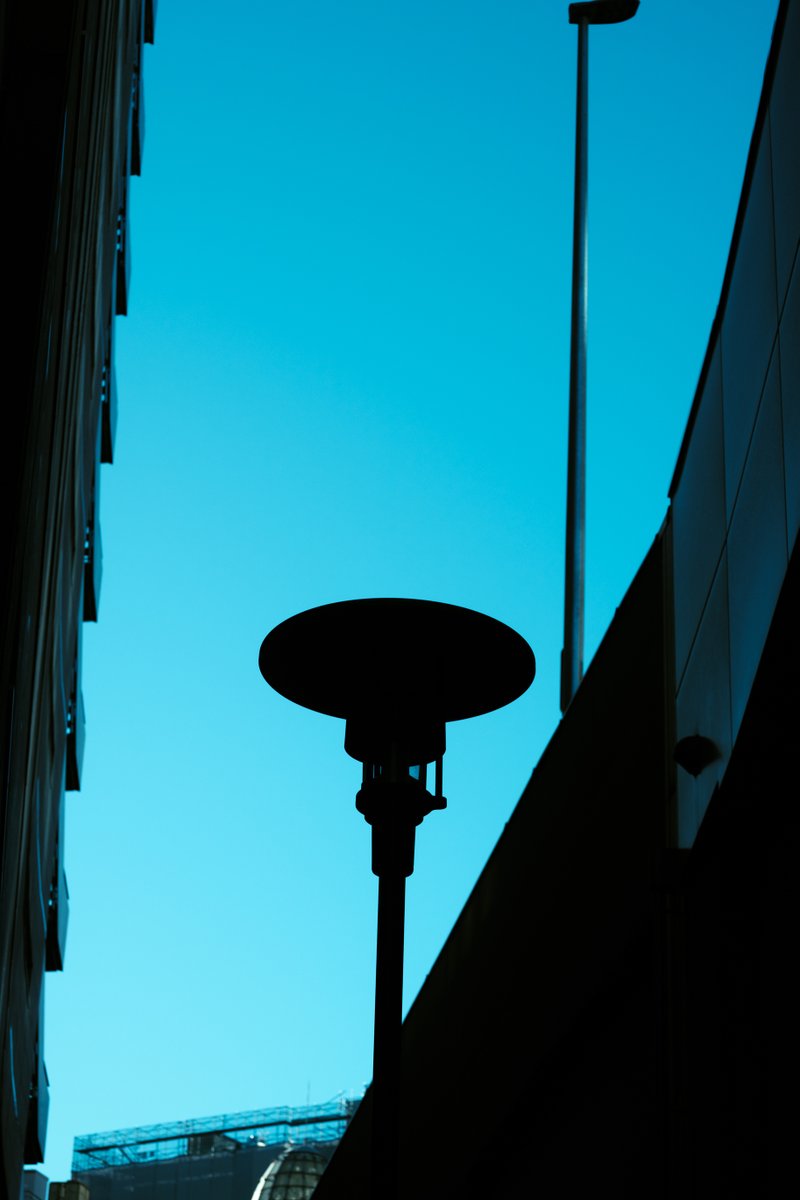 おしだ (@koshidawg) on Twitter photo 