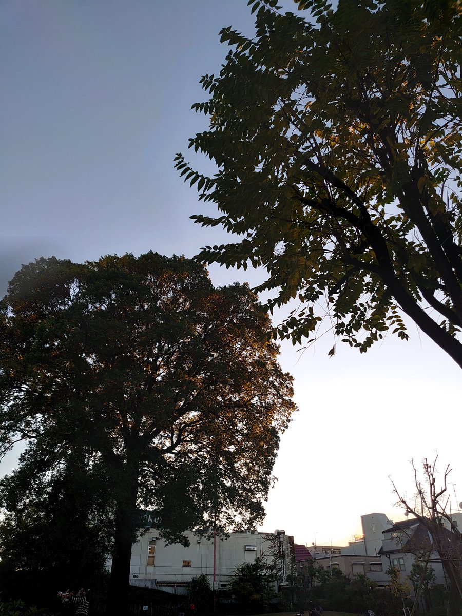 chiaking1964's tweet photo. 吉祥寺
冬のおとずれを感じる散歩 https://t.co/eBbmlXc5dS