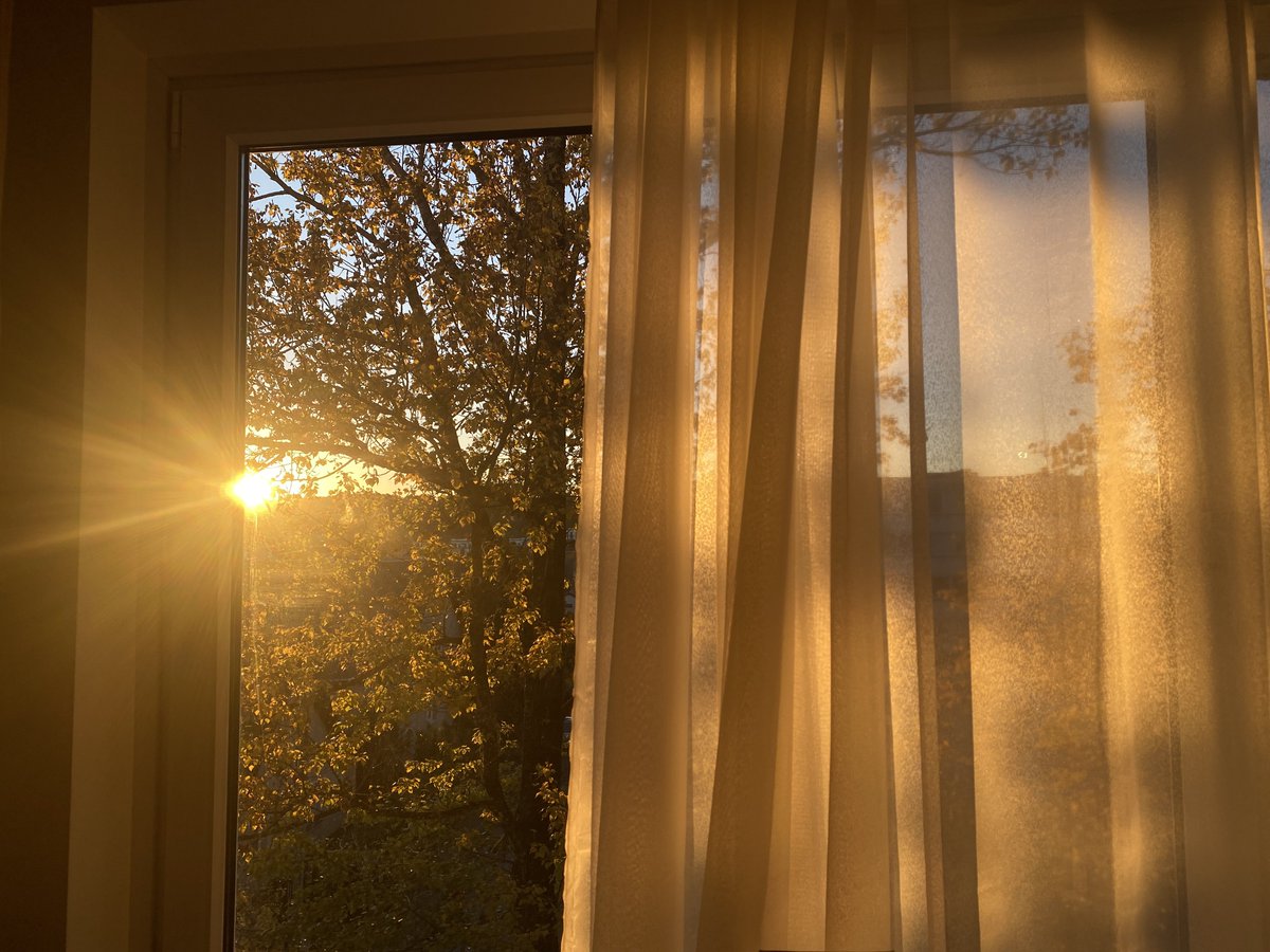 souvenirsea's tweet image. last year&apos;s autumn was incredible