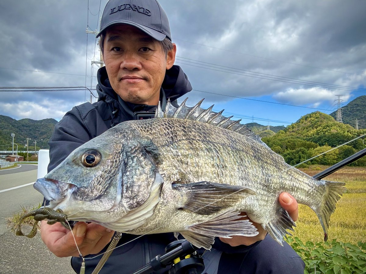 Yuki (@yuki530931) / Posts / X