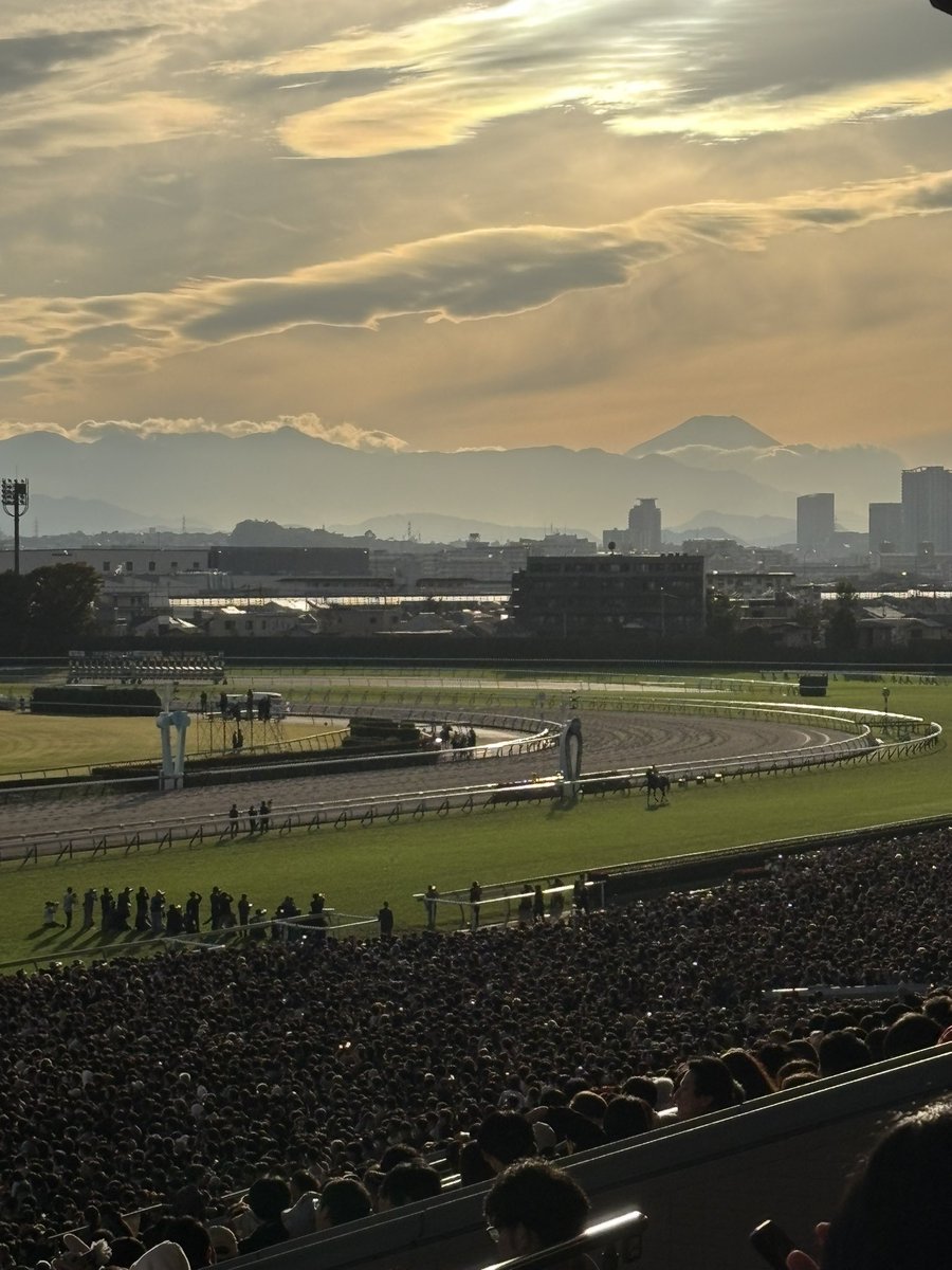 vabinguel's tweet photo. ウイニングラン。
太陽と富士山の祝福。

#天皇賞秋　#天皇賞秋2025 #秋の天皇賞 https://t.co/Y8fhGQpPwe