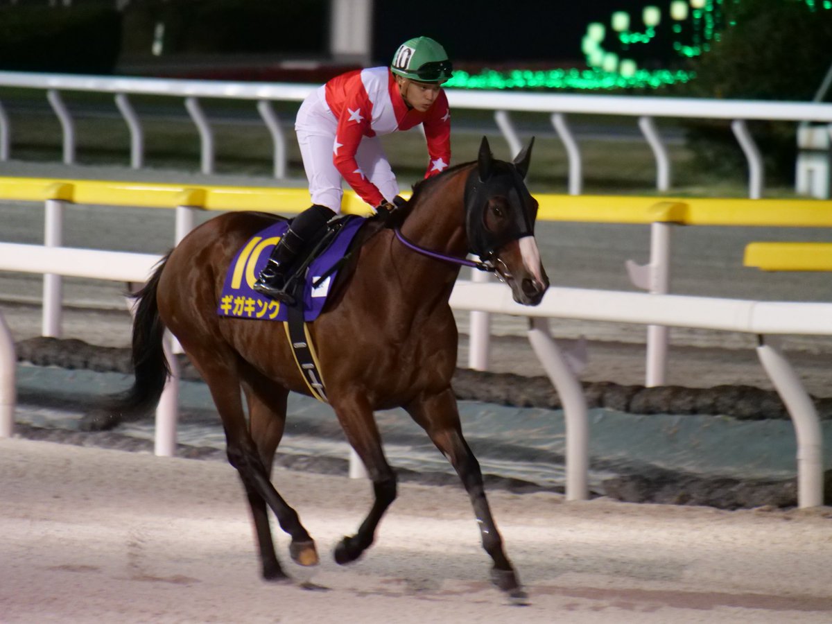 E3%82%AE%E3%82%AC%E3%82%AD%E3%83%B3%E3%82%B0