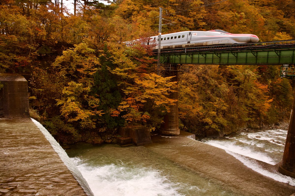⭕️ミッチー様774短い秋600大雪の奥飛騨 ⭕️ミッチー様774短い秋600