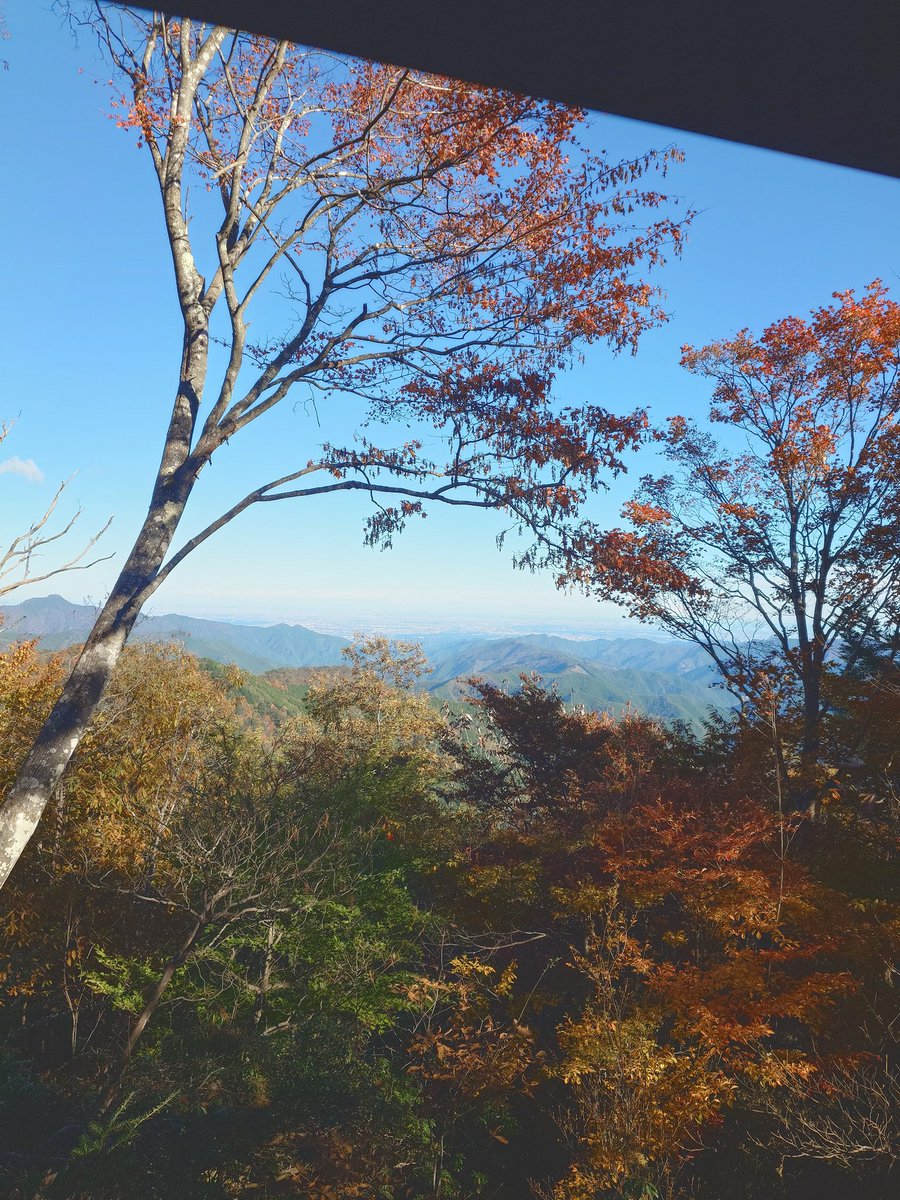 hataruri1's tweet photo. 檜原村の都民の森に遊びに行って来ました。
めちゃくちゃ良い所でした。沢山歩いて登山を楽しみました。紅葉していたので風景を楽しみながら8ｋｍ以上歩きました。
武蔵も八雲も楽しそうでした〜。
#秋田犬#檜原村#都民の森 https://t.co/RydQZIdZJI