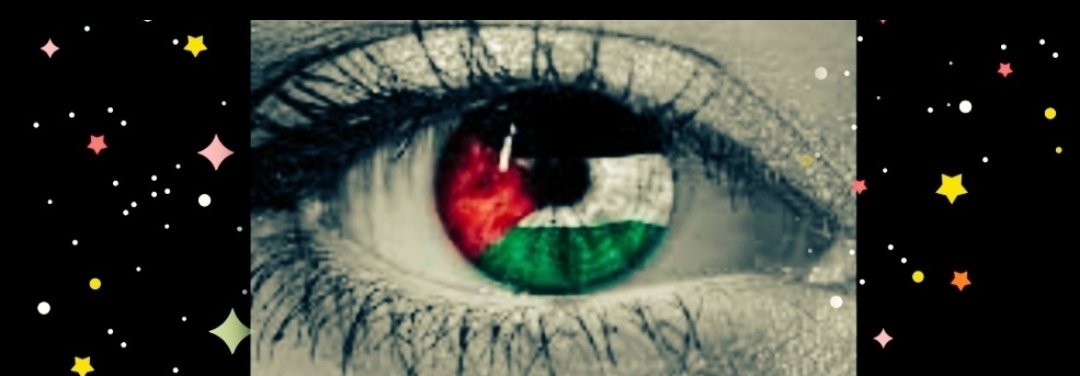 Questo è un appello di Sara, è molto preoccupata,per l'affitto, che momentaneamente ha pagato una parte, ma non ha sicurezza di restare in quella casa,ha il cellulare rotto e non può fare nulla senza di questo unico mezzo di comunicazione col mondo, ha bisogno di donazioni🆘❤️‍🩹🆘