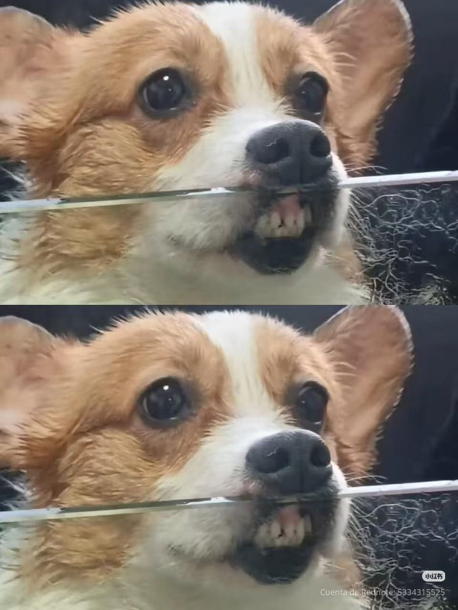 tattoos i would get if i had money (@twtpictures) on Twitter photo 