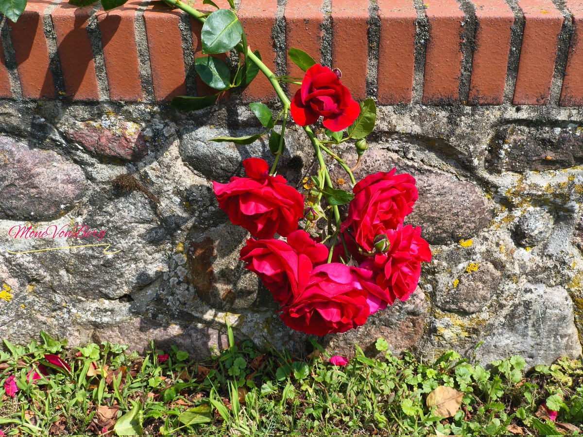 Ihr Lieben 💖 ich wünsche euch einen angenehmen Wochenanfang 🍀🍂🎨