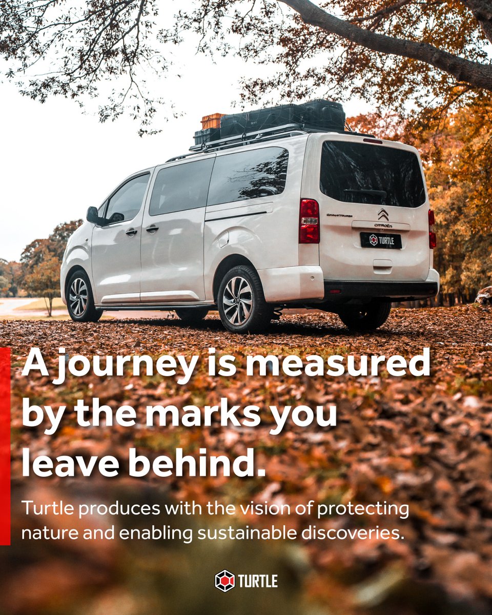 Turtle Can Carry tweet media