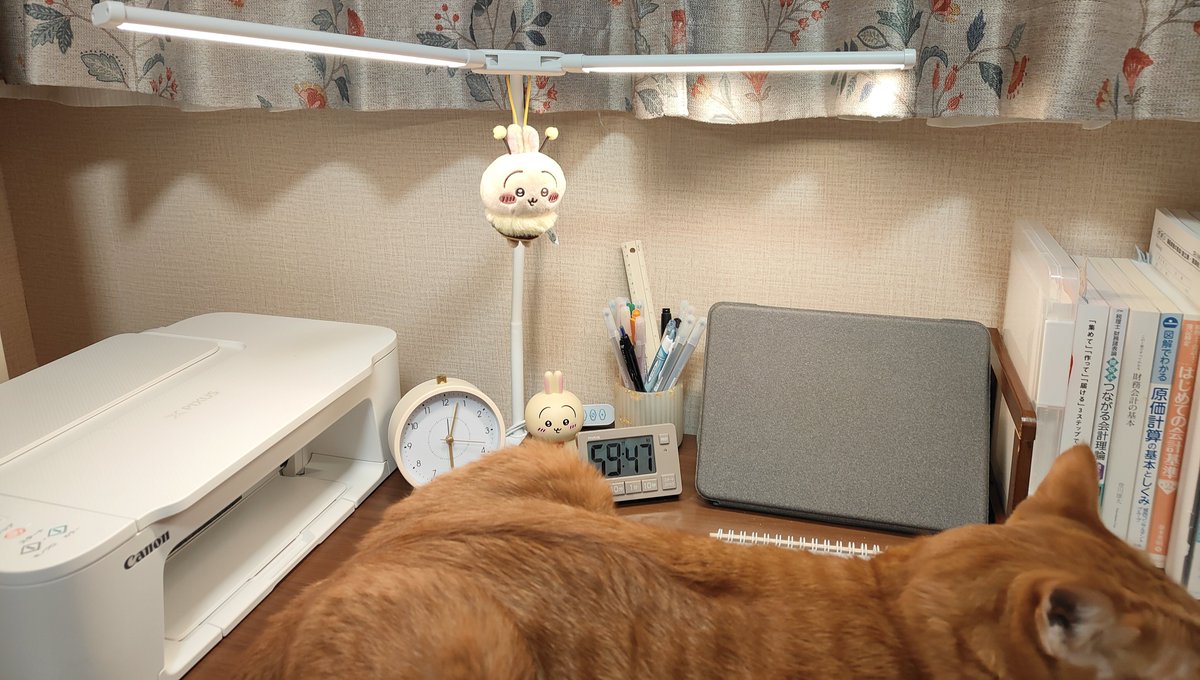 勉強机にライトを設置！💡
（だいぶ今更）

ようやく手元が明るくなり、
うさぎも宙に浮きました🪽