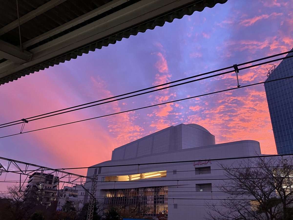 メロー🏇（𝑴𝒆𝒍𝒍𝒐𝒘𝑭𝒓𝒖𝒊𝒕𝒔） on X