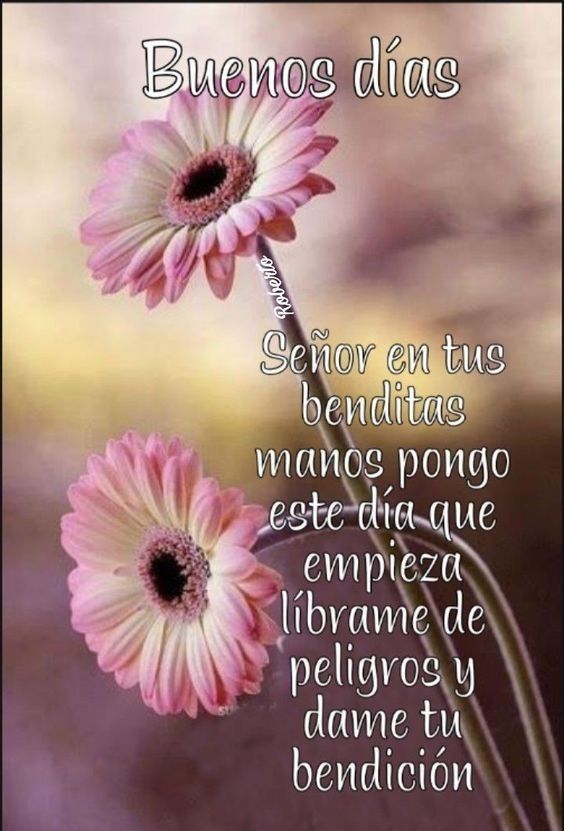 🌸🌸🌸🌸🌸🌸🌸
              LUNES
                 🩷❤️
Demos gracias a Dios por 
habernos despertado en
esta nueva semana. Por
estar sanos y por el gran
privilegio de poder ver un
            nuevo amanecer.
#FelizDíaAmigos #FelizLunes