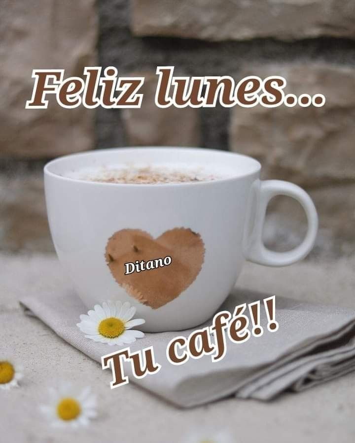 ¡Vamos por una
excelente semana
LUNES
    ya...!!
#YaHayCafecitoColado