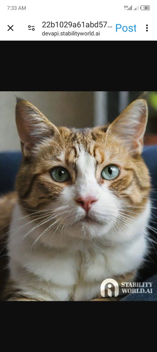 ardonweb3's tweet image. 𝗣𝗿𝗼𝘂𝗱 𝘁𝗼 𝗷𝗼𝗶𝗻 𝘁𝗵𝗲 𝗕𝗗𝗖 𝗺𝗼𝘃𝗲𝗺𝗲𝗻𝘁!

Why sleeping,
I&apos;m thrilled to officially join Big Data Coins (BDC)!  Looking forward to contributing to this campaign, growing with the community, and being part of something innovative in the crypto space. 🌍✨