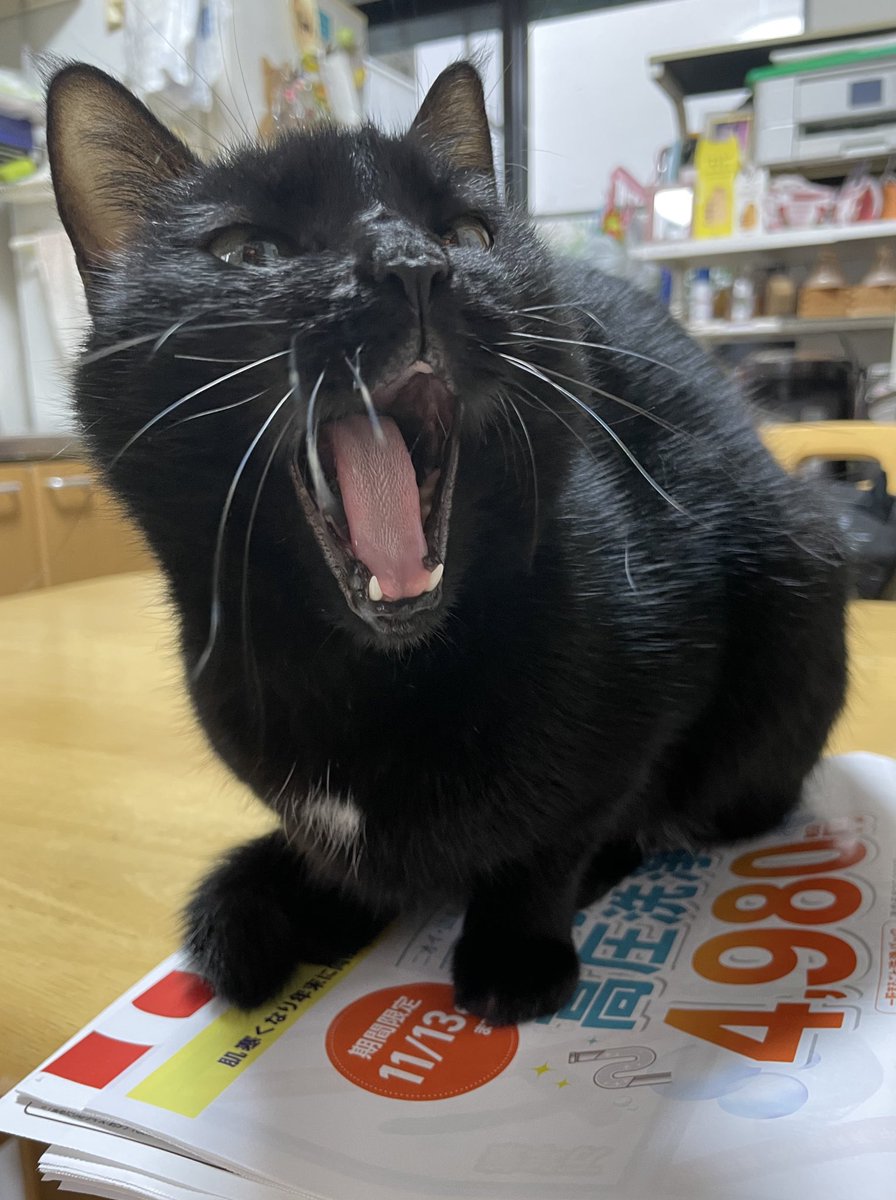 入船亭扇治 on X