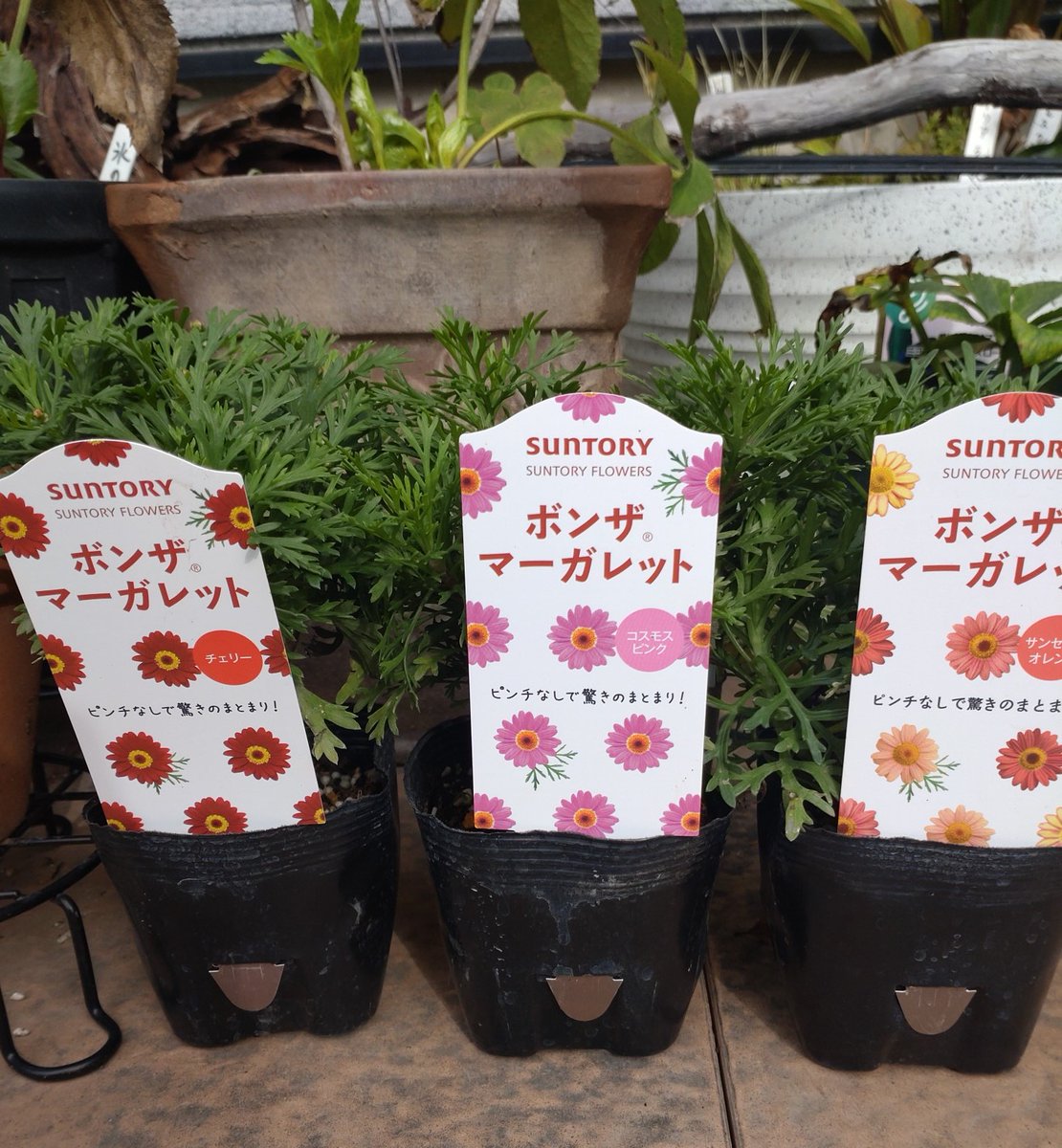 パステル植木鉢♡ハート飾り確認 アラ太郎 on X