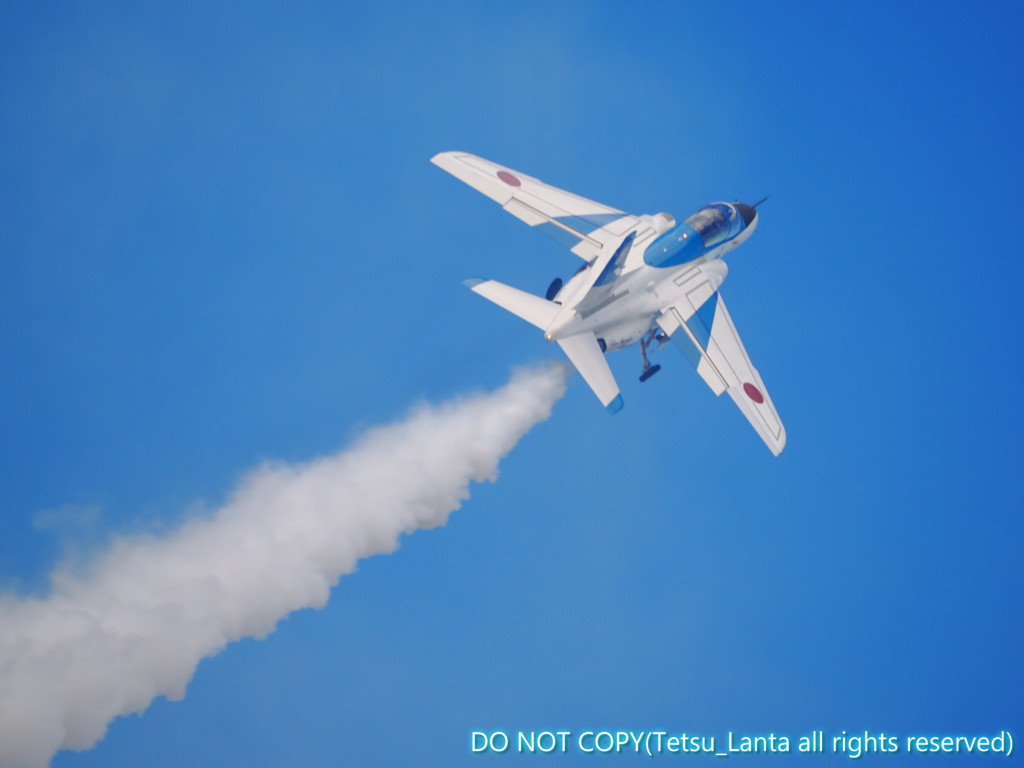 アイランドカーニバル祭 コースター　空軍 アイランドカーニバル祭 コースター 空軍 第五人格 アイランド