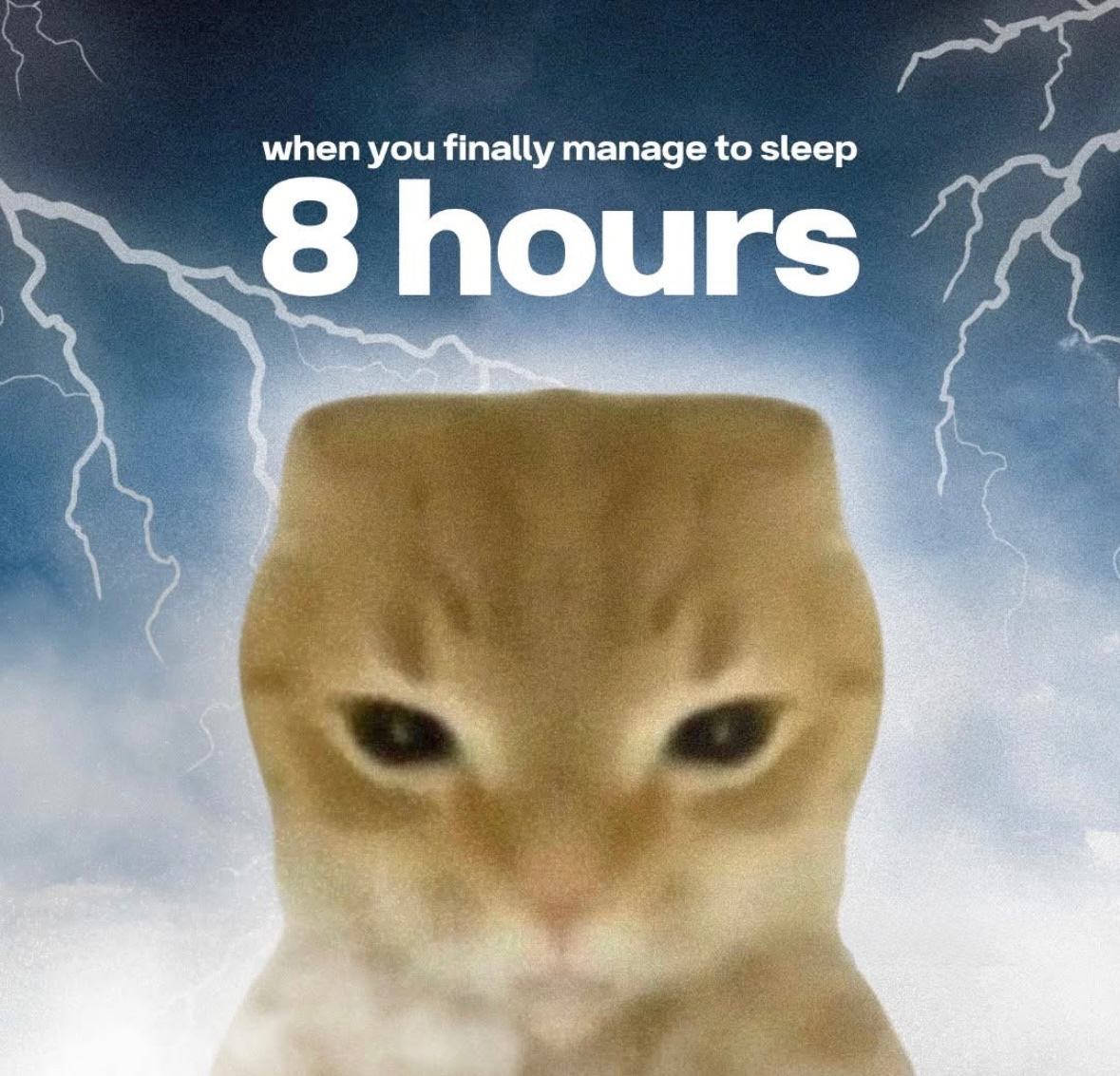 Respectful Memes (@respectfulmemes) on Twitter photo 