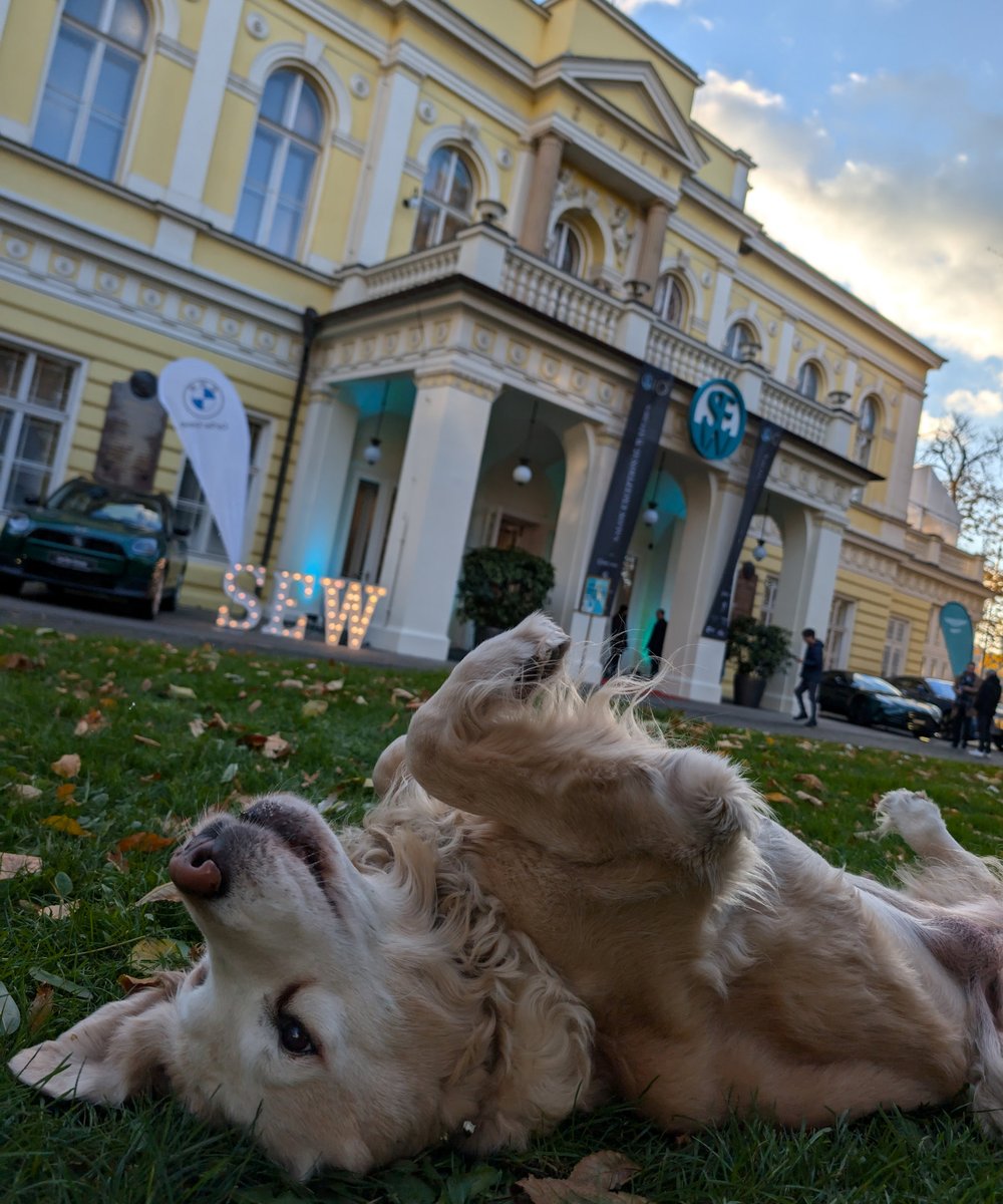 We are very much looking forward to participating in Salon Exceptional Watches in Prague again next weekend. Come and see us at one of the coolest watch events!

#swissmade #independentwatchmaking #inhousemovement #actuallywearit