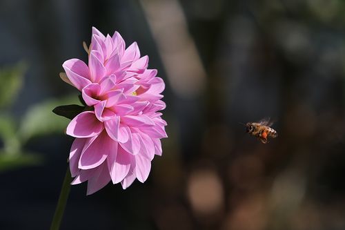 ゆっきー (@yukky_11) / Posts / X