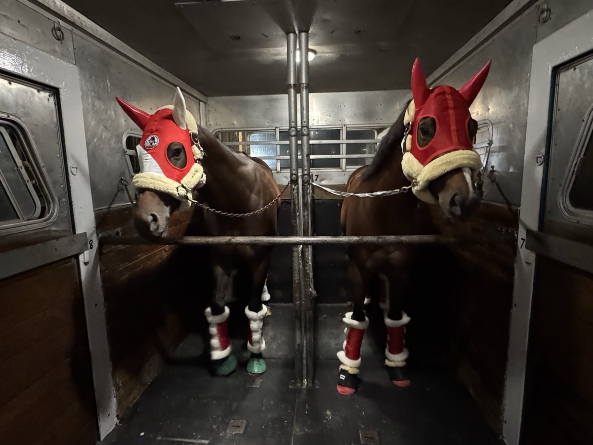 Forever Young heads back to Japan tonight. See you in <a href="/TheSaudiCup/">The Saudi Cup</a> and <a href="/DubaiWorldCup/">Dubai World Cup</a> in no time! Thanks for the best day of my life!