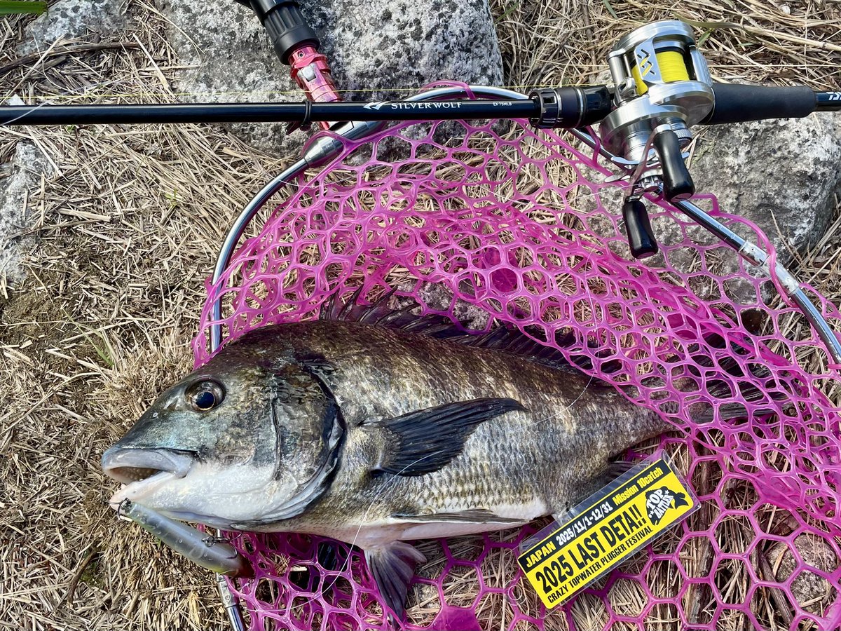 LOT T100BS 10センチ　中禅寺湖　トローリング　汐瀬 LOT T100BS 10センチ 中禅寺湖 トローリング 汐瀬