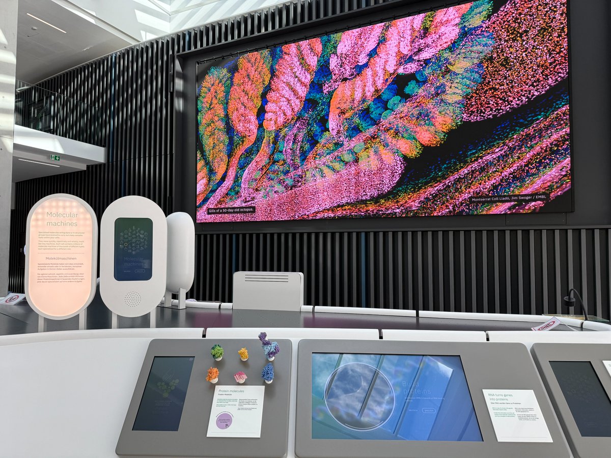 The Milinkovitch-Tzika lab tweet media