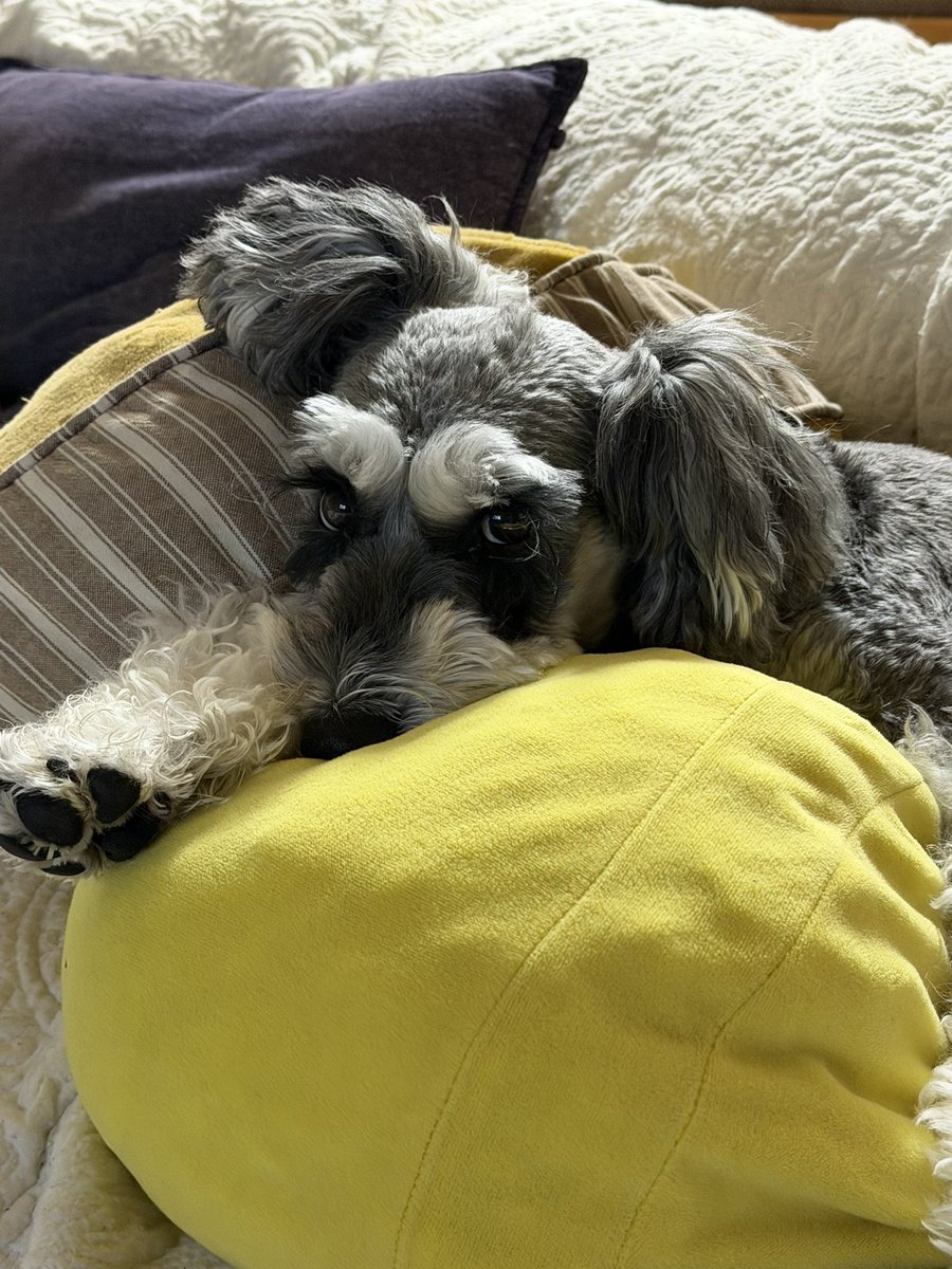 クッションに埋もれてる
寒いもんねー