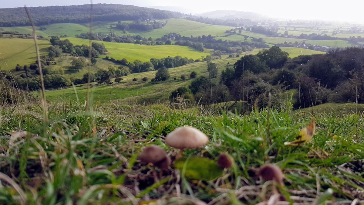 Gloucestershire is a fantastic county to visit with interesting places to visit. The countryside, including the Cotswold Hills and Forest of Dean, is stunning.

 rjontour.com/gloucestershir… #Gloucestershire #cotswolds #forestofdean