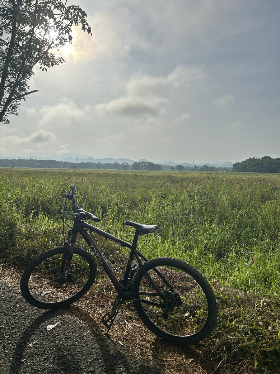 woeoyo's tweet image. 