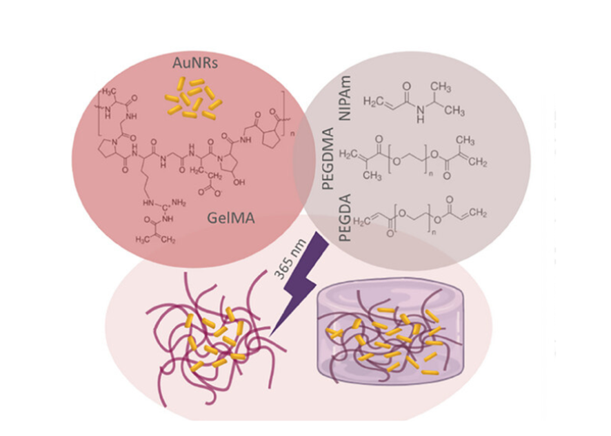CICbiomaGUNE's tweet image. 🚨 𝐑𝐞𝐬𝐞𝐚𝐫𝐜𝐡 𝐇𝐢𝐠𝐡𝐥𝐢𝐠𝐡𝐭 🚨

💡The Route to Artery Mimetics: Hybrid Bioinks for Embedded Bioprinting of Multimaterial Cylindrical Models

📄 Advanced Functional Materials 2025

👉advanced.onlinelibrary.wiley.com/doi/10.1002/ad…

#bioprinting #bioinks #artery