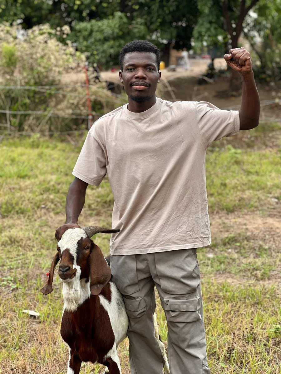 willemifungaif's tweet photo. Élever ses rêves comme on élève ses chèvres : avec patience, discipline et détermination ✊🏿🐐
#AnimalHub #MwanaBilanga #GEK https://t.co/mQ1j1cXYc3