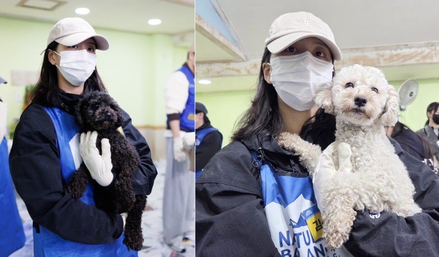 251103 [NEWS] 흙삽 들고 사료 나른 연예인들…구조견 위한 '진짜 봉사' 현장 #김소현 

🔗 naver.me/GzijgGB9

경기 용인 코리안독스 레인보우쉼터
400여 마리 보호견을 위한 봉사활동