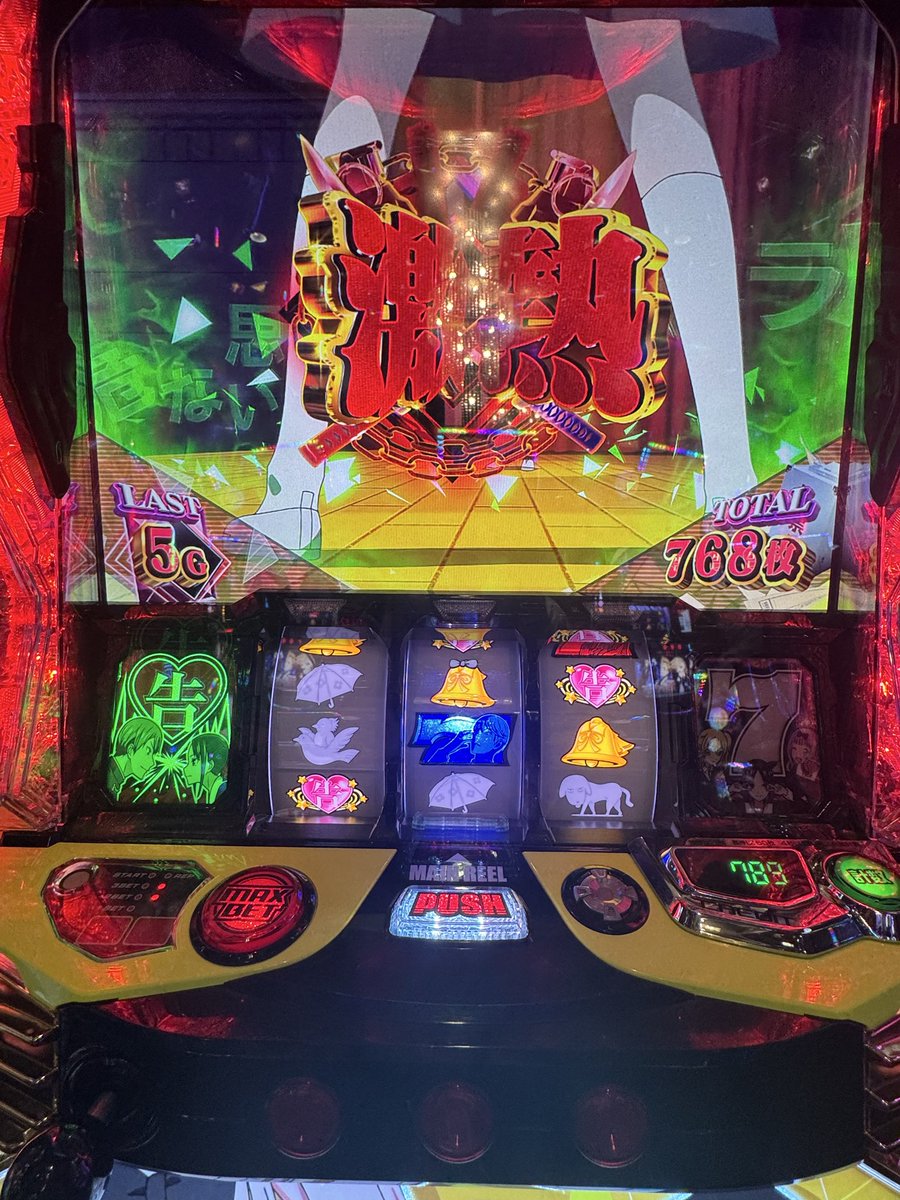 こたちゃん🐻🌟 on X