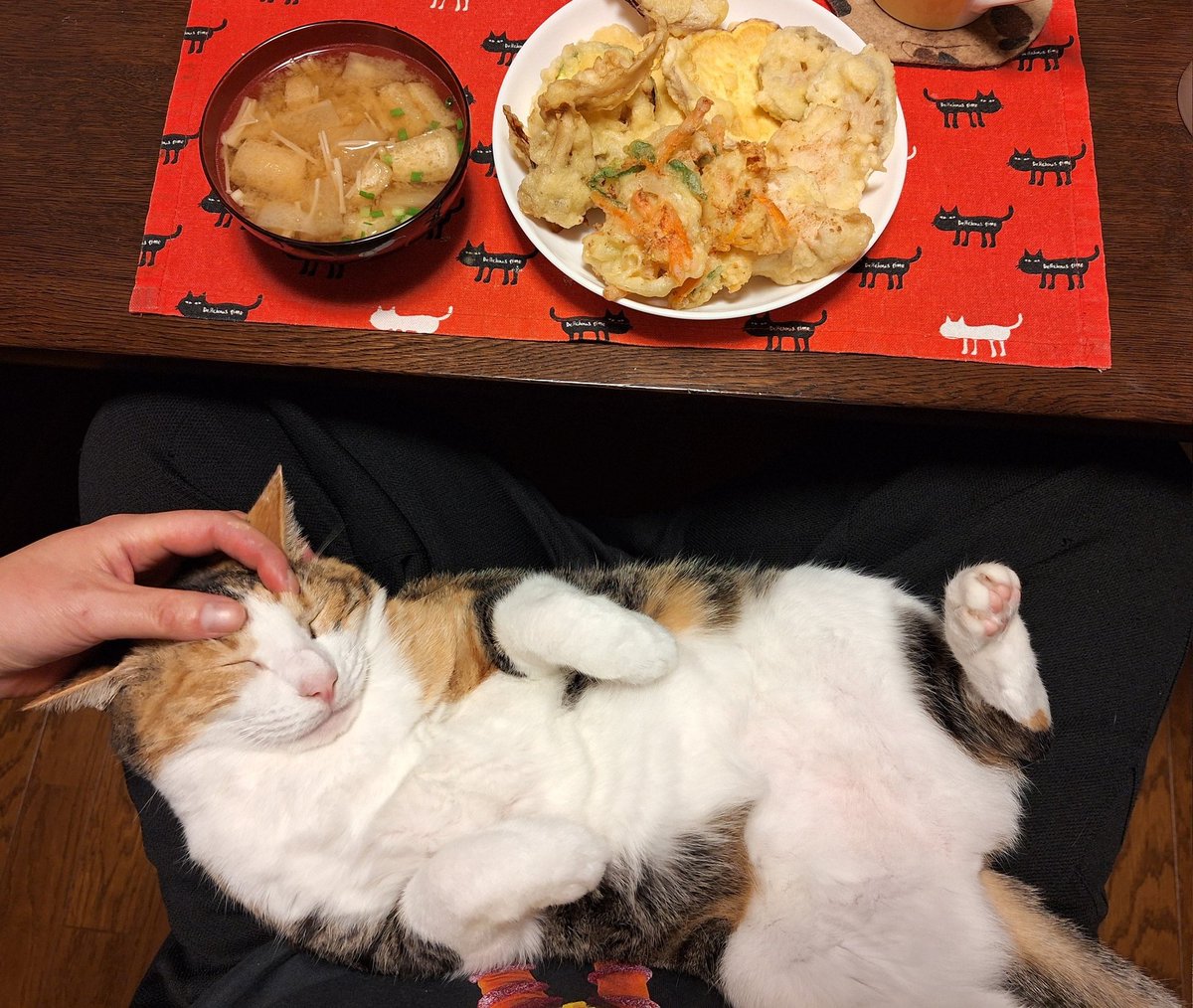 天ぷらたべました