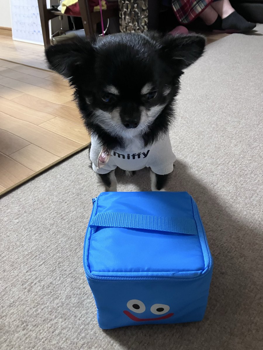 魔術師コロサイ on X